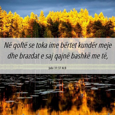 Picture 06 - Jobi 31:37 ALB - Në qoftë se toka ime bërtet kundër meje dhe - Bible Verse Picture