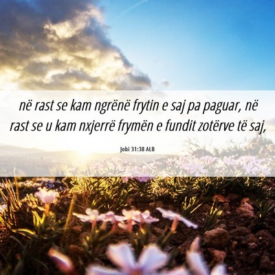 Picture 06 - Jobi 31:38 ALB - në rast se kam ngrënë frytin e saj pa paguar, - Bible Verse Picture