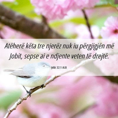 Picture 06 - Jobi 32:1 ALB - Atëherë këta tre njerëz nuk iu përgjigjën - Bible Verse Picture