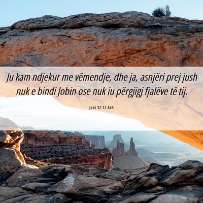 Picture 06 - Jobi 32:12 ALB - Ju kam ndjekur me vëmendje, dhe ja, asnjëri - Bible Verse Picture