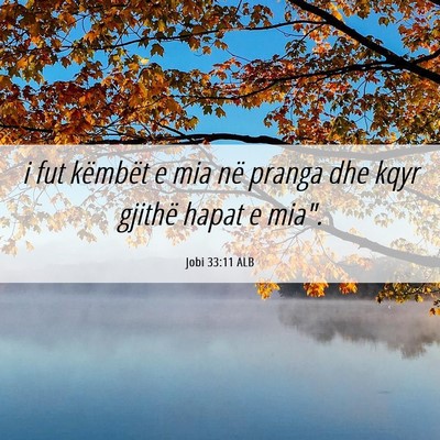 Picture 06 - Jobi 33:11 ALB - i fut këmbët e mia në pranga dhe kqyr gjithë - Bible Verse Picture