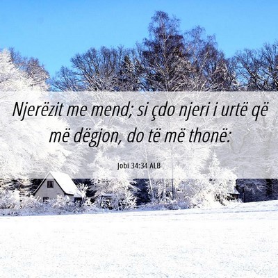 Picture 06 - Jobi 34:34 ALB - Njerëzit me mend; si çdo njeri i urtë që më - Bible Verse Picture