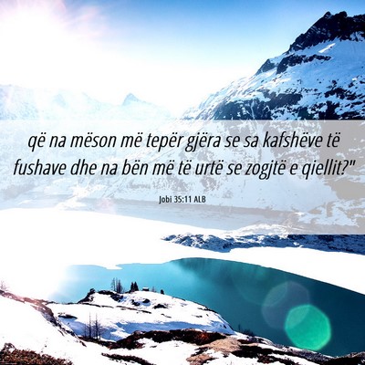 Picture 06 - Jobi 35:11 ALB - që na mëson më tepër gjëra se sa kafshëve - Bible Verse Picture
