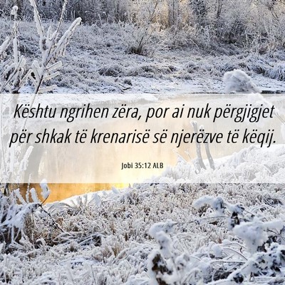 Picture 06 - Jobi 35:12 ALB - Kështu ngrihen zëra, por ai nuk përgjigjet - Bible Verse Picture
