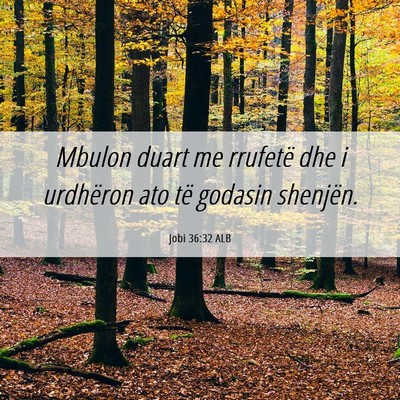 Picture 06 - Jobi 36:32 ALB - Mbulon duart me rrufetë dhe i urdhëron ato të - Bible Verse Picture