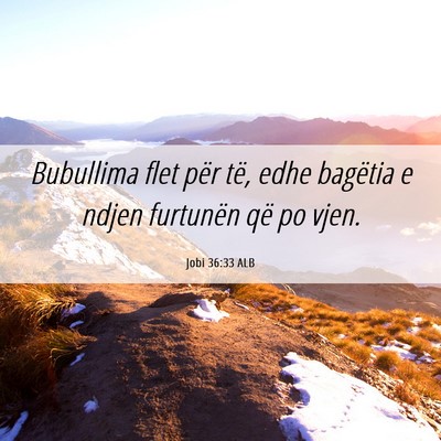 Picture 06 - Jobi 36:33 ALB - Bubullima flet për të, edhe bagëtia e ndjen - Bible Verse Picture