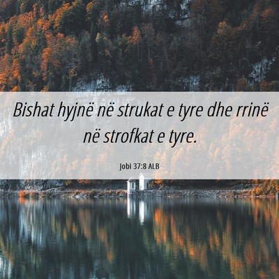 Picture 06 - Jobi 37:8 ALB - Bishat hyjnë në strukat e tyre dhe rrinë në - Bible Verse Picture
