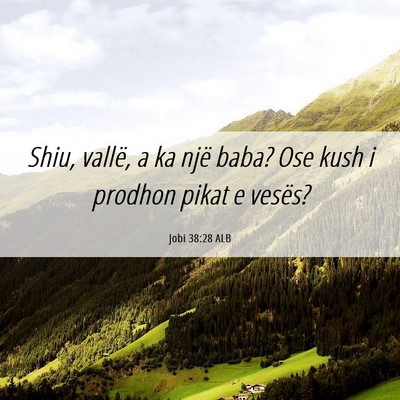 Picture 06 - Jobi 38:28 ALB - Shiu, vallë, a ka një baba? Ose kush i prodhon - Bible Verse Picture