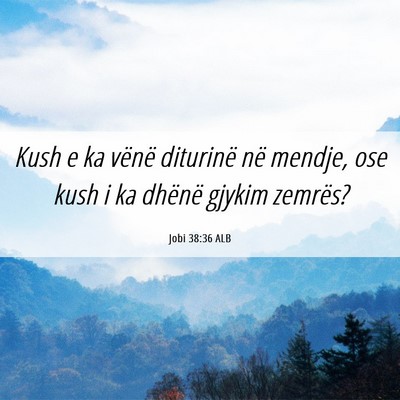 Picture 06 - Jobi 38:36 ALB - Kush e ka vënë diturinë në mendje, ose kush i - Bible Verse Picture