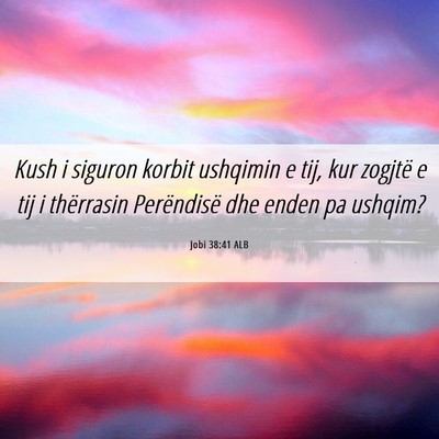 Picture 06 - Jobi 38:41 ALB - Kush i siguron korbit ushqimin e tij, kur zogjtë - Bible Verse Picture