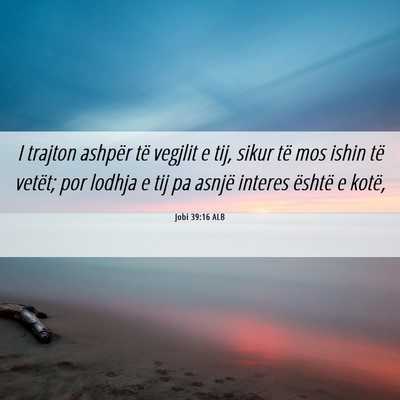 Picture 06 - Jobi 39:16 ALB - I trajton ashpër të vegjlit e tij, sikur të - Bible Verse Picture