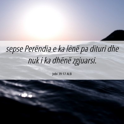 Picture 06 - Jobi 39:17 ALB - sepse Perëndia e ka lënë pa dituri dhe nuk i - Bible Verse Picture