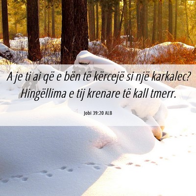 Picture 06 - Jobi 39:20 ALB - A je ti ai që e bën të kërcejë si një - Bible Verse Picture