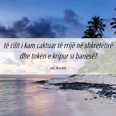 Picture 06 - Jobi 39:6 ALB - të cilit i kam caktuar të rrijë në - Bible Verse Picture