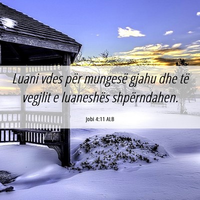 Picture 06 - Jobi 4:11 ALB - Luani vdes për mungesë gjahu dhe të vegjlit e - Bible Verse Picture