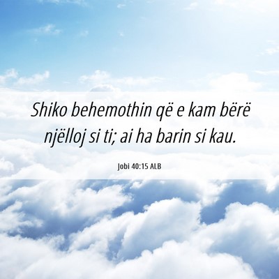 Picture 06 - Jobi 40:15 ALB - Shiko behemothin që e kam bërë njëlloj si ti; - Bible Verse Picture