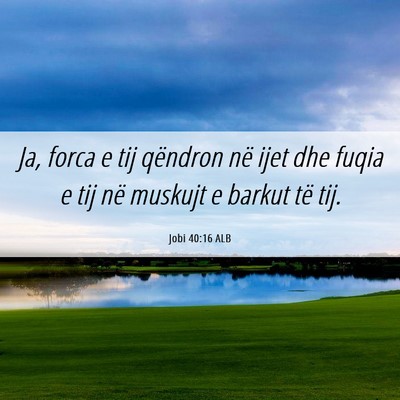 Picture 06 - Jobi 40:16 ALB - Ja, forca e tij qëndron në ijet dhe fuqia e tij - Bible Verse Picture