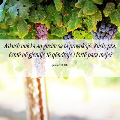 Picture 06 - Jobi 41:10 ALB - Askush nuk ka aq guxim sa ta provokojë. Kush, - Bible Verse Picture