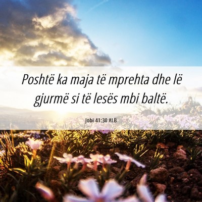 Picture 06 - Jobi 41:30 ALB - Poshtë ka maja të mprehta dhe lë gjurmë si - Bible Verse Picture