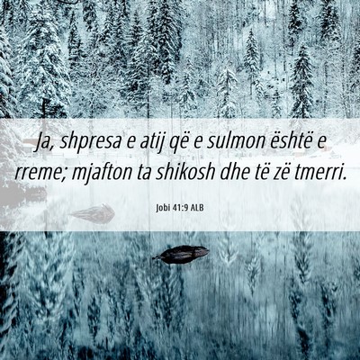 Picture 06 - Jobi 41:9 ALB - Ja, shpresa e atij që e sulmon është e rreme; - Bible Verse Picture