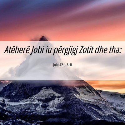 Picture 06 - Jobi 42:1 ALB - Atëherë Jobi iu përgjigj Zotit dhe - Bible Verse Picture