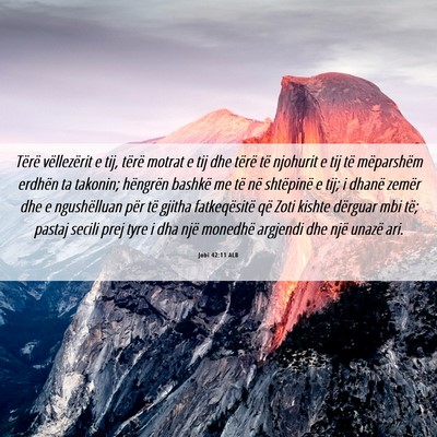 Picture 06 - Jobi 42:11 ALB - Tërë vëllezërit e tij, tërë motrat e tij - Bible Verse Picture