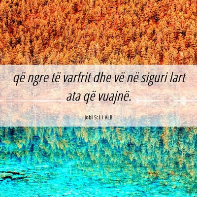 Picture 06 - Jobi 5:11 ALB - që ngre të varfrit dhe vë në siguri lart ata - Bible Verse Picture