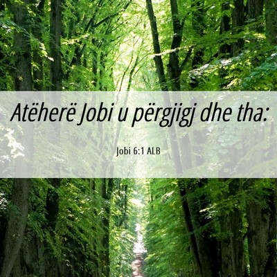 Picture 06 - Jobi 6:1 ALB - Atëherë Jobi u përgjigj dhe - Bible Verse Picture