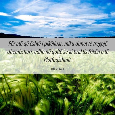 Picture 06 - Jobi 6:14 ALB - Për atë që është i pikëlluar, miku duhet - Bible Verse Picture