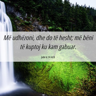 Picture 06 - Jobi 6:24 ALB - Më udhëzoni, dhe do të hesht; më bëni të - Bible Verse Picture