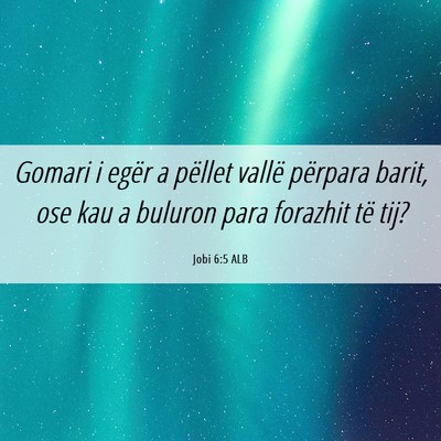 Picture 06 - Jobi 6:5 ALB - Gomari i egër a pëllet vallë përpara barit, - Bible Verse Picture