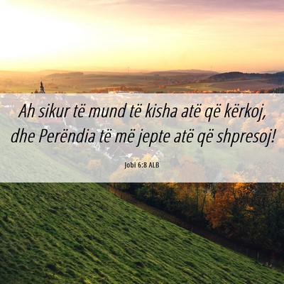 Picture 06 - Jobi 6:8 ALB - Ah sikur të mund të kisha atë që kërkoj, dhe - Bible Verse Picture