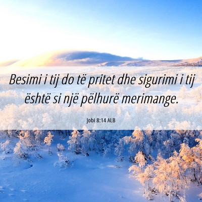 Picture 06 - Jobi 8:14 ALB - Besimi i tij do të pritet dhe sigurimi i tij - Bible Verse Picture