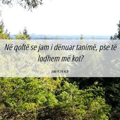 Picture 06 - Jobi 9:29 ALB - Në qoftë se jam i dënuar tanimë, pse të - Bible Verse Picture