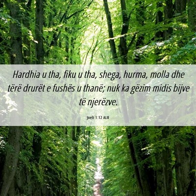 Picture 06 - Joeli 1:12 ALB - Hardhia u tha, fiku u tha, shega, hurma, molla - Bible Verse Picture