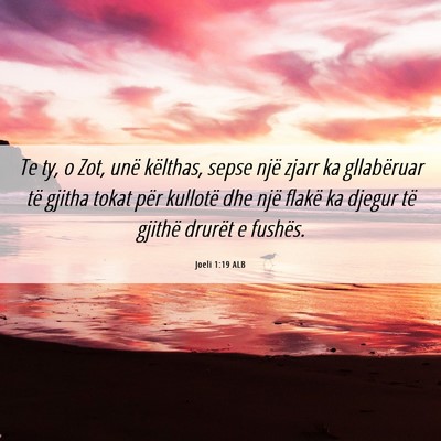Picture 06 - Joeli 1:19 ALB - Te ty, o Zot, unë këlthas, sepse një zjarr ka - Bible Verse Picture