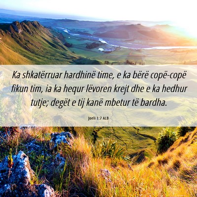 Picture 06 - Joeli 1:7 ALB - Ka shkatërruar hardhinë time, e ka bërë - Bible Verse Picture