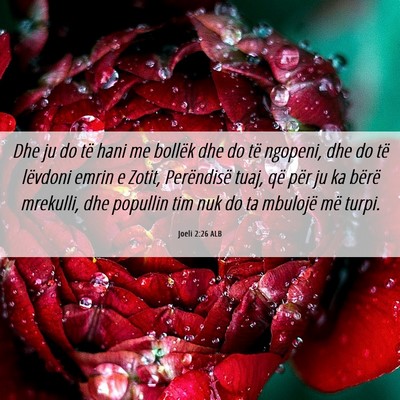 Picture 06 - Joeli 2:26 ALB - Dhe ju do të hani me bollëk dhe do të ngopeni, - Bible Verse Picture
