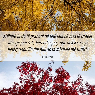 Picture 06 - Joeli 2:27 ALB - Atëherë ju do të pranoni që unë jam në mes - Bible Verse Picture