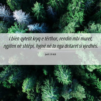 Picture 06 - Joeli 2:9 ALB - I bien qytetit kryq e tërthor, rendin mbi muret, - Bible Verse Picture
