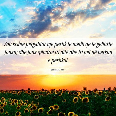Picture 06 - Jona 1:17 ALB - Zoti kishte përgatitur një peshk të madh që - Bible Verse Picture