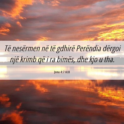 Picture 06 - Jona 4:7 ALB - Të nesërmen në të gdhirë Perëndia dërgoi - Bible Verse Picture