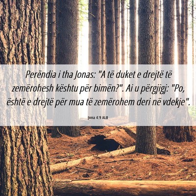 Picture 06 - Jona 4:9 ALB - Perëndia i tha Jonas: 