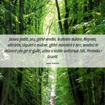 Picture 06 - Jozueu 10:40 ALB - Jozueu goditi, pra, gjithë vendin, krahinën - Bible Verse Picture