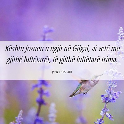 Picture 06 - Jozueu 10:7 ALB - Kështu Jozueu u ngjit në Gilgal, ai vetë me - Bible Verse Picture
