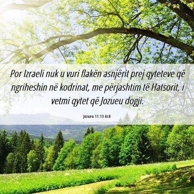 Picture 06 - Jozueu 11:13 ALB - Por Izraeli nuk u vuri flakën asnjërit prej - Bible Verse Picture