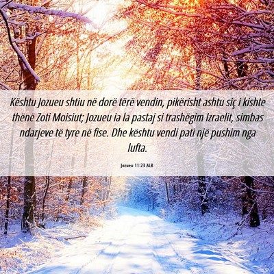 Picture 06 - Jozueu 11:23 ALB - Kështu Jozueu shtiu në dorë tërë vendin, - Bible Verse Picture