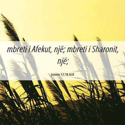 Picture 06 - Jozueu 12:18 ALB - mbreti i Afekut, një; mbreti i Sharonit, - Bible Verse Picture