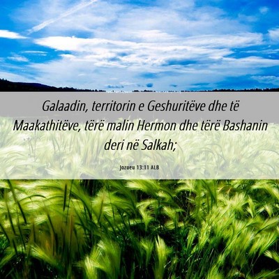 Picture 06 - Jozueu 13:11 ALB - Galaadin, territorin e Geshuritëve dhe të - Bible Verse Picture