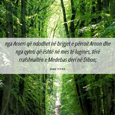 Picture 06 - Jozueu 13:9 ALB - nga Aroeri që ndodhet në brigjet e përroit - Bible Verse Picture